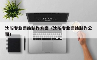 阿拉尔沈阳专业网站制作方案（沈阳专业网站制作公司）